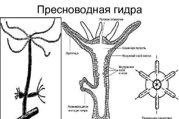 Кракен наркоторговля